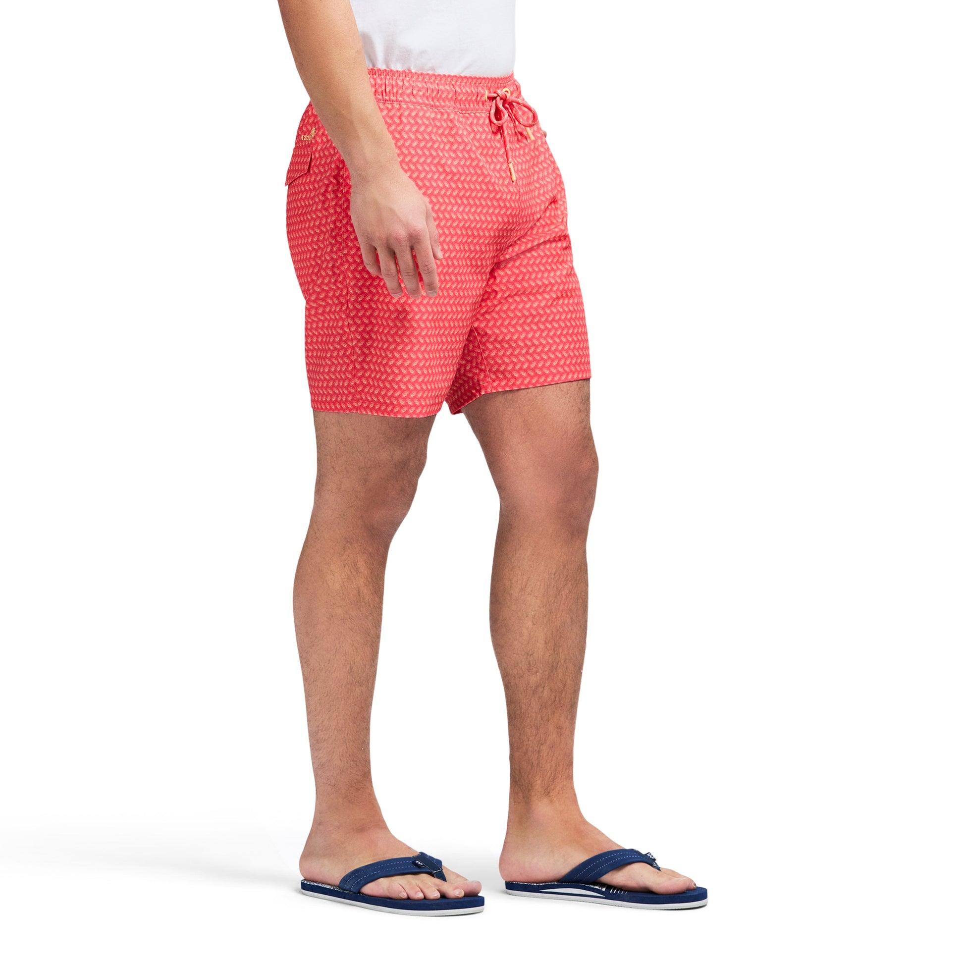Izod Sltwr Trunk Prt 17 - Dubarry
