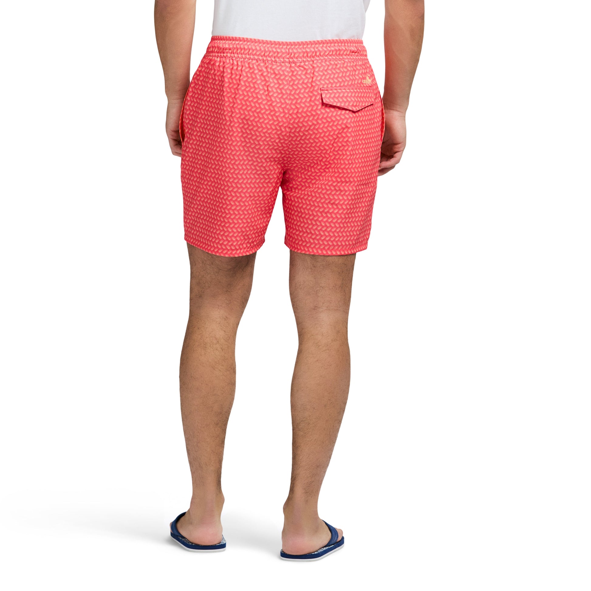 Izod Sltwr Trunk Prt 17 - Dubarry
