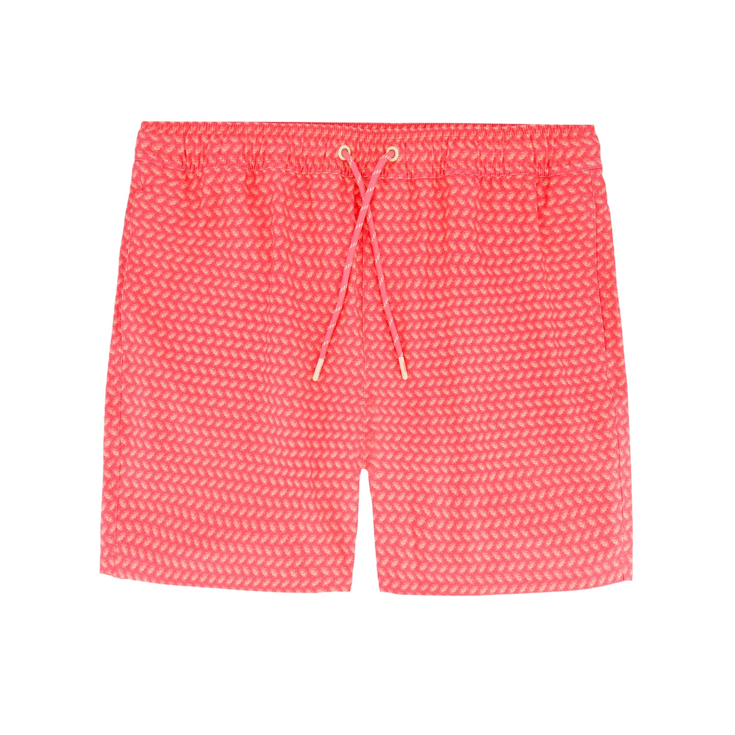 Izod Sltwr Trunk Prt 17 - Dubarry