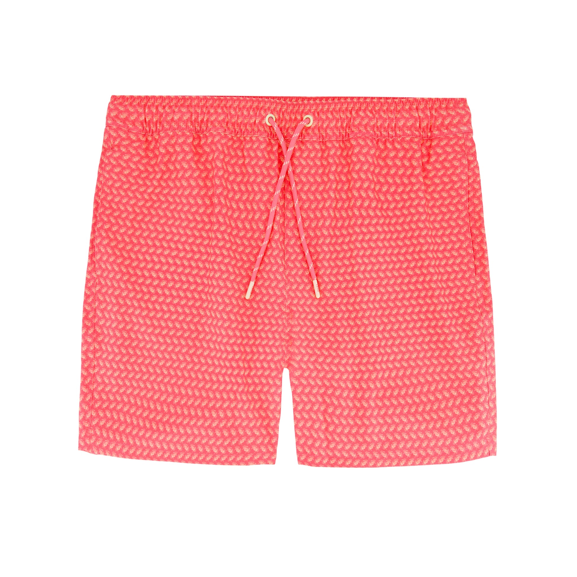 Izod Sltwr Trunk Prt 17 - Dubarry