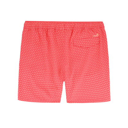 Izod Sltwr Trunk Prt 17 - Dubarry